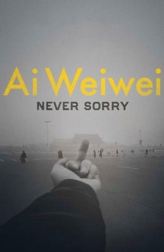 Ai Weiwei: Never Sorry (2012)