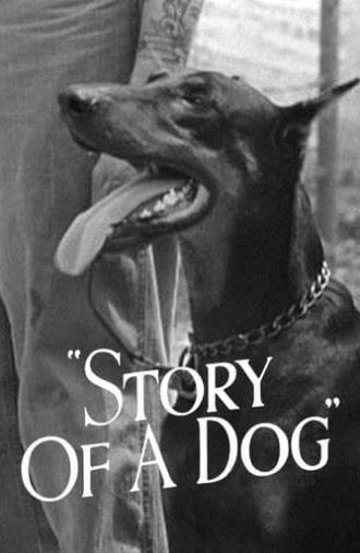 Story of a Dog (1945)