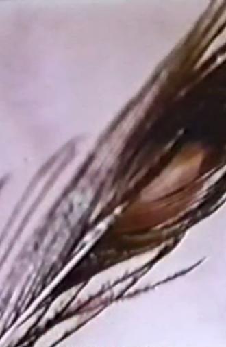 Sexual Meditation: Faun's Room, Yale (1972)