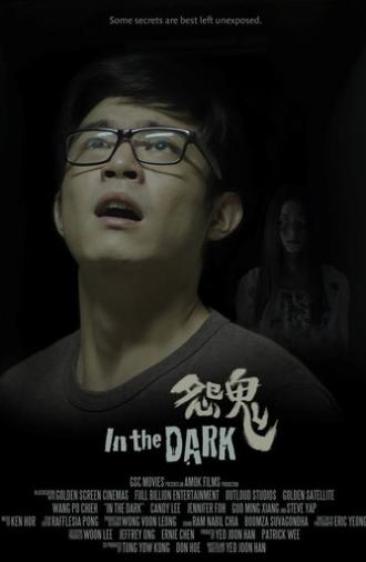 In the Dark (2014)