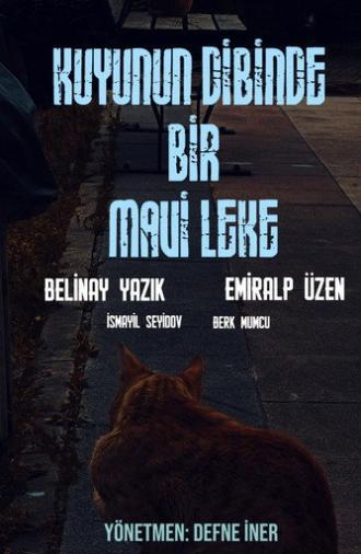 Kuyunun Dibinde Bir Mavi Leke (2026)