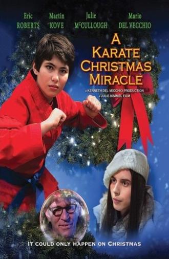 A Karate Christmas Miracle (2019)