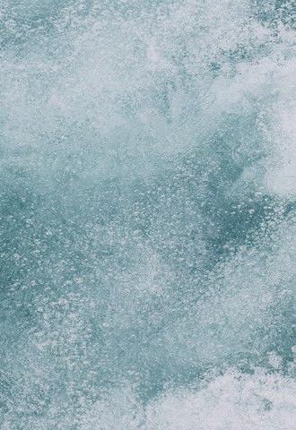 Shit Shower Shave (2026)