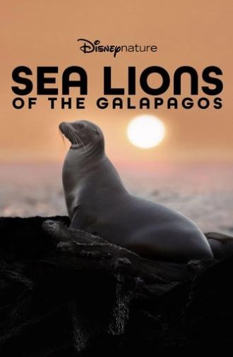 Sea Lions of the Galapagos (2025)