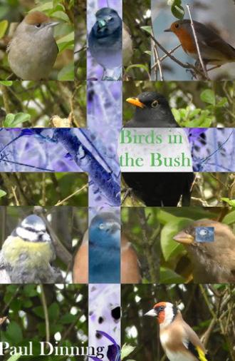 Birds in the Bush (2024)