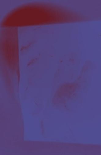 Corpus II Home (2021)