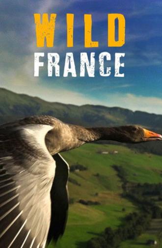 Wild France (2013)