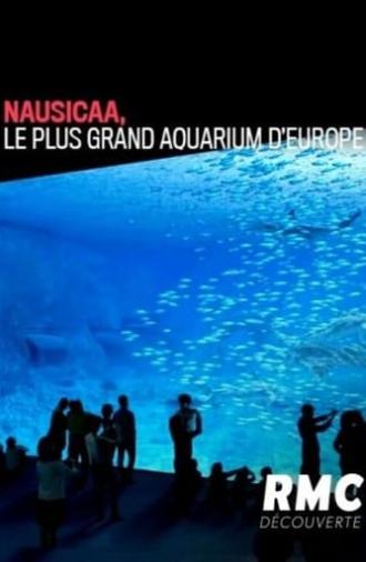 Nausicaa: The Largest Aquarium in Europe (2019)