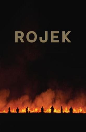 Rojek (2022)