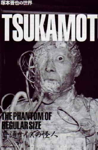 The Phantom of Regular Size (1986)