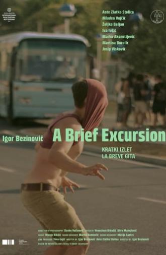 A Brief Excursion (2017)