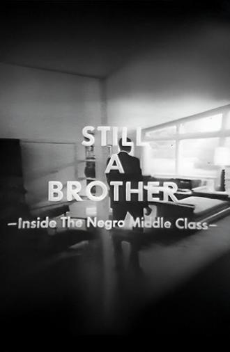 Still A Brother: Inside the Negro Middle Class (1968)