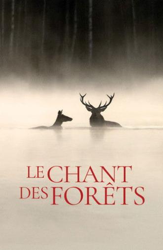 Whispers in the Woods (2025)