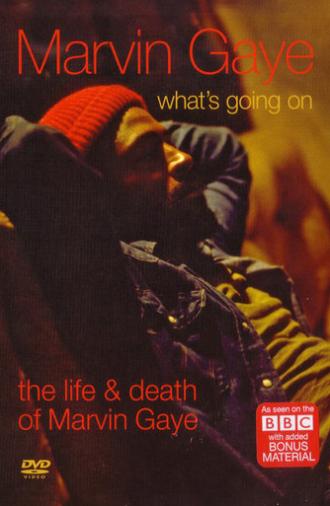 What's Going On: The Life and Death of Marvin Gaye (2008)