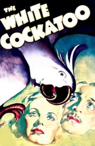 The White Cockatoo (1935)