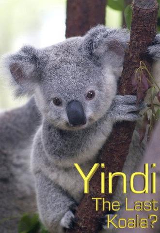 Grainger's World: Yindi: The Last Koala? (2007)