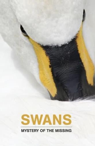 Swans: Mystery of the Missing (2019)