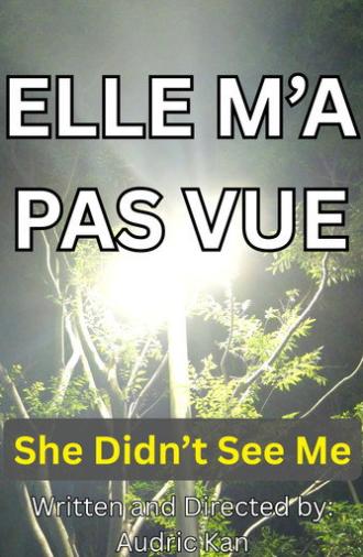 She Didn't See Me (2026)