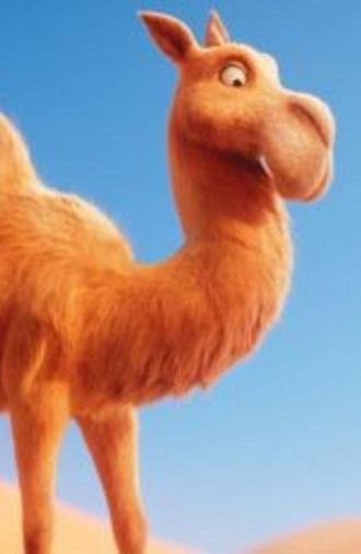 Itchy the Camel: Tennis Ball (2021)