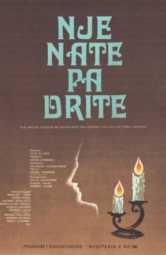 A Night without Light (1981)