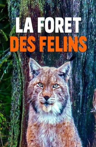La forêt des félins: Chats sauvages et lynx du Harz (2022)