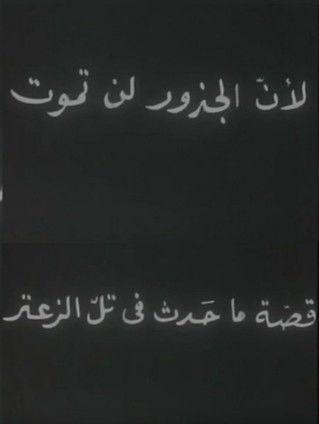 Because Roots Don’t Die (1977)