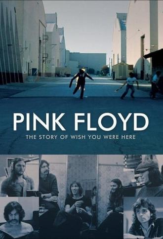 Pink Floyd: The Story of Wish You Were Here (2012)