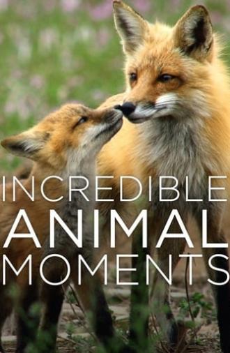 Incredible Animal Moments (2019)