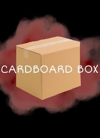 Cardboard Box (2024)