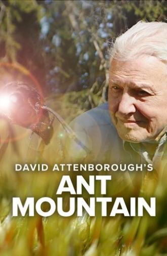 David Attenborough's Ant Mountain (2017)