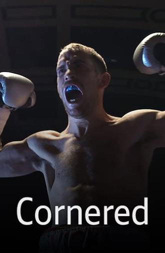 Cornered (2013)