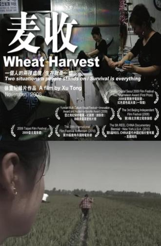 Wheat Harvest (2008)