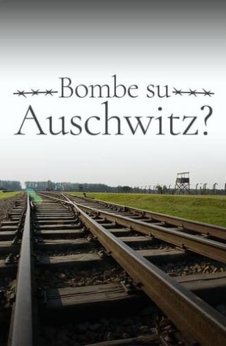 1944: Should We Bomb Auschwitz? (2019)