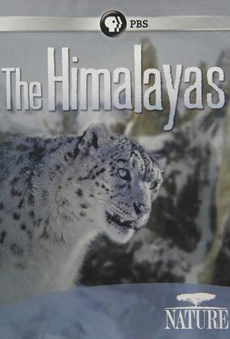 The Himalayas (2011)