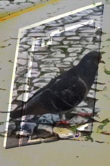 não tenho dormido muito mas continuo sonhando a cada piscada (2024)