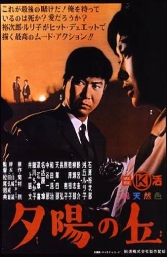 Sunset Hill (1964)