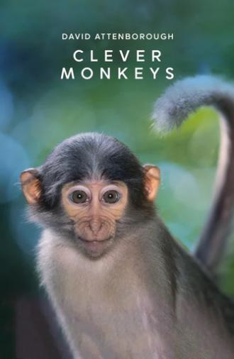 Clever Monkeys (2008)