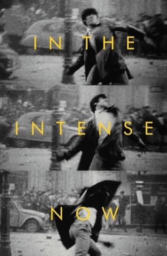 In the Intense Now (2017)