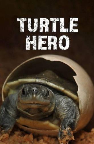 Turtle Hero (2016)