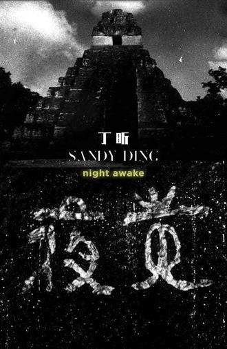 Night Awake (2016)