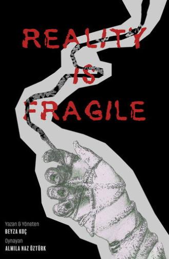 Reality Is Fragile (2026)