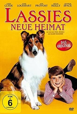 Lassie: The Wayfarers (1964)