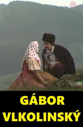 Gábor Vlkolinský (1978)