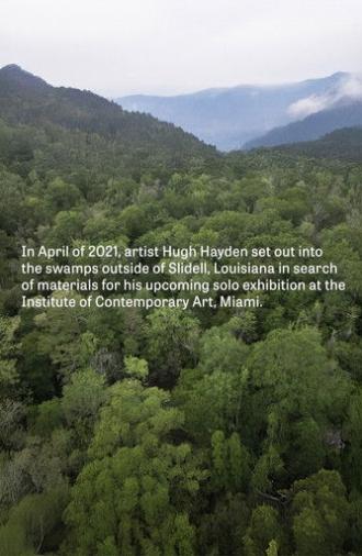 Hugh Hayden: Skeletons in the Swamp (2022)