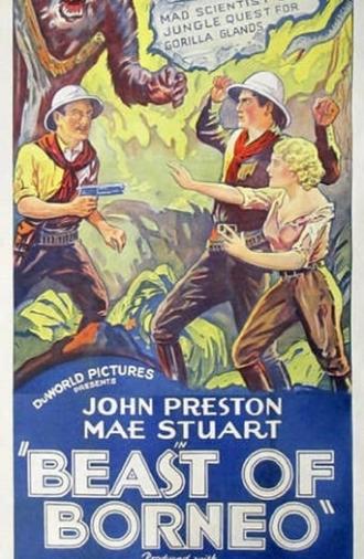 The Beast of Borneo (1934)