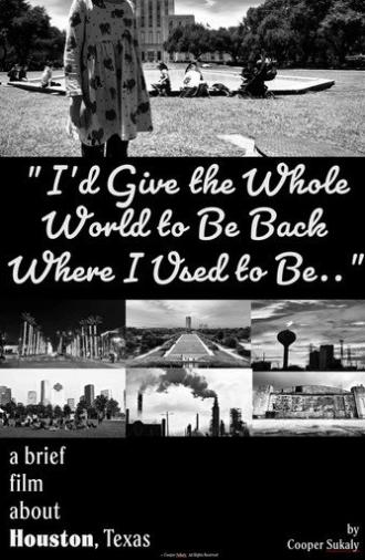 I’d Give the Whole World to Be Back Where I Used to Be... (2025)