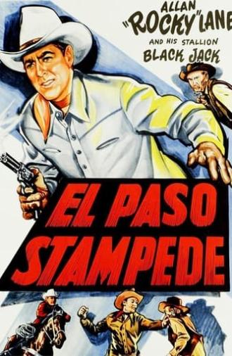 El Paso Stampede (1953)