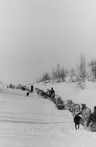 Från vinterviste till sommarfjäll (1949)