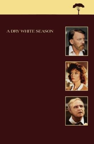 A Dry White Season (1989)