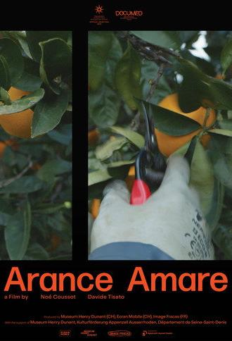 Bitter oranges (2025)